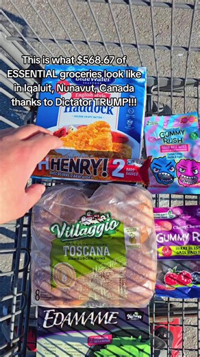 corgems (@cor.gems)’s video of nunavut food prices