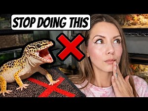 10 Things Leopard Gecko Owners STILL Get Wrong