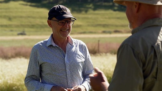 Former greenkeeper saves and restores Australian native grasslands