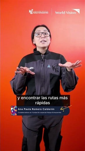 ¿Sabías que los hongos pueden diseñar sistemas de metro?