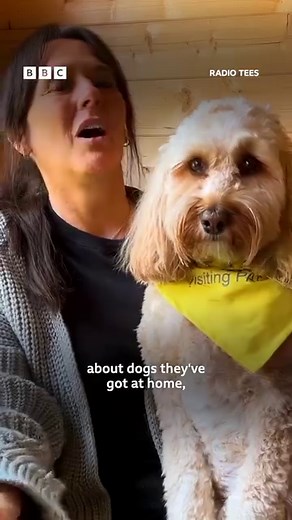 #Boro fans react to beating Chelsea in the League Cup 💪🏆 | BBC Tees