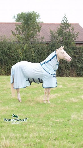 19K views · 724 reactions | When the bug-buster by @horseware makes @crownsaceofpearl feel THIS good  There is 20% off fly rugs currently on the Horseware website - who doesn’t love preparing for the following season at a discounted price?  | Jumping with Ivy | Facebook