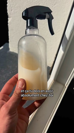 L’astuce pour fabriquer un spray anti mouche redoutable #printemps #mouche #repulsif #diy #economie | Jonathan coni