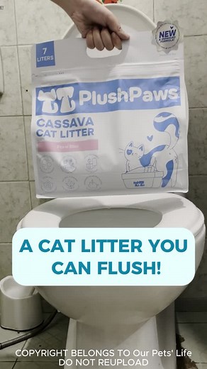 A cat litter that you can flush! Plushpaws cassava cat litter has a new and improved formula that’s less dusty and has better clumping. 🧼🐱 Cat Litter Link: https://s.shopee.ph/10vGstGtIl #plushpawsph #CatLitter #plushpawscassavacatlitter #cassavacatlitter #Flushable #FlushableCatLitter | Our Pets' Life