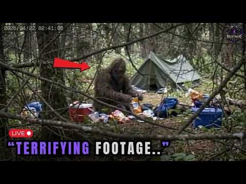 3 Hours of SCARIEST Bigfoot Encounters Caught On Camera 2026