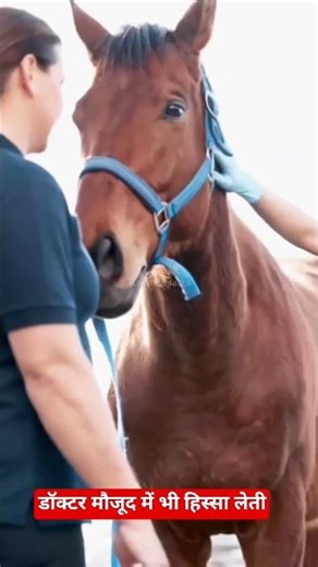 Dubai Princess Sheikha Mahra Real Life Luxury"Dubai Princess’s Hobby #Dubai#Sheikhamahera#Dubaifacts