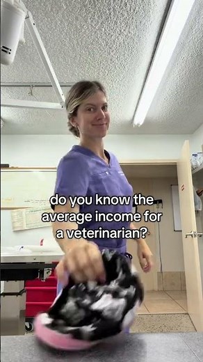 Average Veterinarian Income