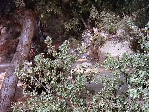 Planet of the Apes ( 1974 ) E13 The Liberator