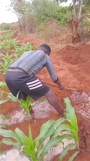 Dan duncan (@dan.duncan43)’s videos with original sound - kamba all time greatest hits