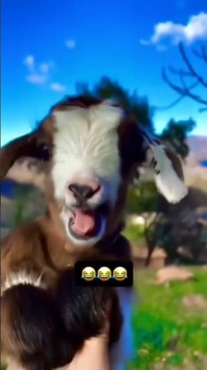 सब पूरे है न अब चलो घर #trending #funny #youtubeshorts