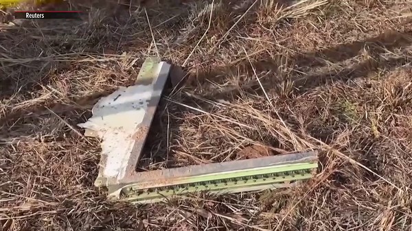 Fatal Airliner Incident at Muan International Airport