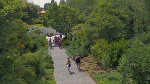 The Gardens from above! 100% Pure New Zealand has shot some stunning aerial footage of our Paradise Collection gardens. | Hamilton Gardens