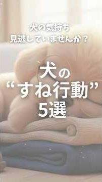 [What Dogs Really Think] 5 Signs of Dog Pouting: Beware of Loneliness! #DogFeelings #IWantToConne...