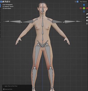 Help! When I apply Rest pose the mesh goes into the old Rest Pose!