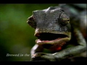 Bubweiser 'Chameleons' Beer TV Advert - 1999