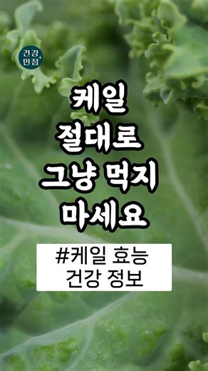 케일 절대로 그냥 먹지마세요!케일 최대한 영양 손실 없이 섭취하는 방법 [케일효능, 건강 정보] #케일효능 #건강 #음식