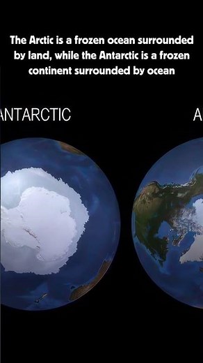 The difference between the Arctic and the Antarctic