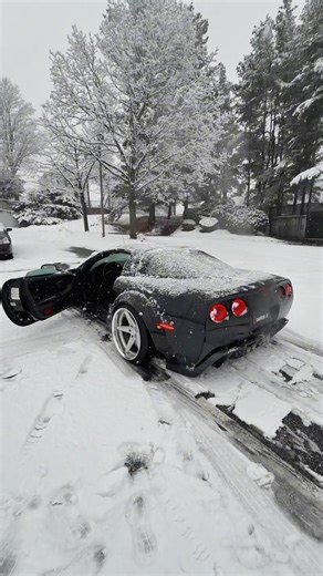 Corvette spinner 😵‍💫