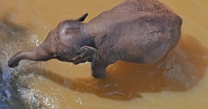 Overhead Top Camera View Young Asian Stock Footage Video (100% Royalty-free) 25434611 | Shutterstock