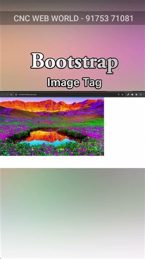 Bootstrap - Image Tag #frontendcourse #bootstrap #computer