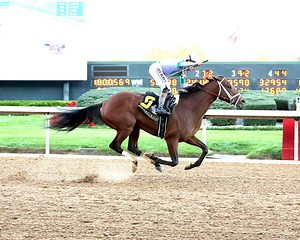 Arkansas Derby Day Recap 2026