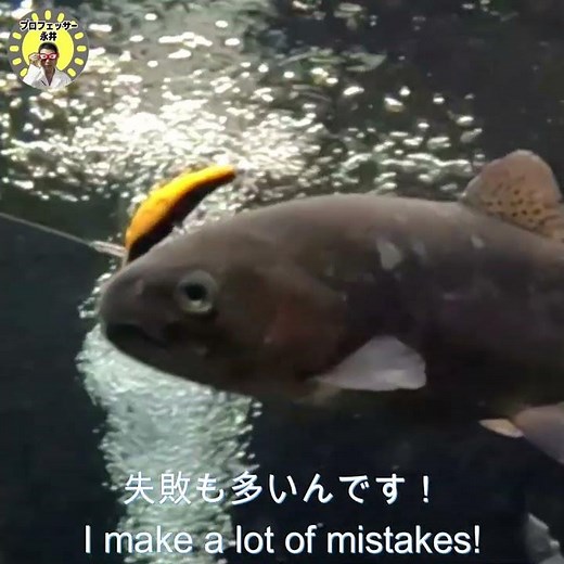 ルアー操作で一定巻き＆ロッドを動かさない事はとても大切で、人間から見れば数センチですが魚から見れば！！顔一個分いきなり動いたりしちゃうんです！