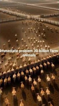 ⚠️ The 30 BILLION Animal Problem No One Talks About
