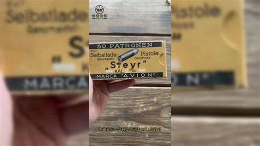 5206. 它有现代手枪的外观 却用桥夹装填 施泰尔M1912很另类 #军事科普 #武器科普