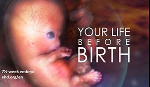 Come see Your Life Before Birth (Video) – free download