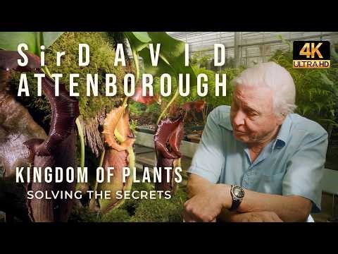 David Attenborough | Kingdom of Plants - Solving The Secret - 02/03 | 4K