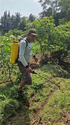 Spraying grass with creative tools -Agriculture farming #shorts
