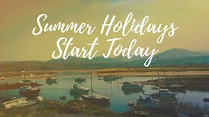 6.3K views · 269 reactions | Are you visiting us this Summer? | Shell Island | Facebook