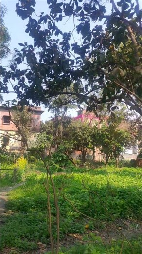 bhai 1000 like complete ho gaya bhai jakar check kar lo pura file mein mere jakar Bhai thank u guys