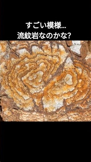 すごい模様の石 #模様 #pattern #rockhounding #石拾い