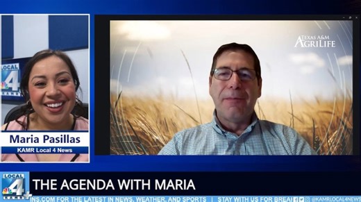 The agenda with Maria: AgriLife provides New World screwworm resources