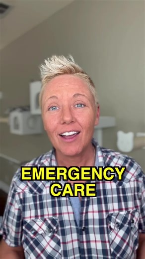 Cat Tip of the Day: Do you have emergency care funds for your cats? #cattips101 #cats #catsoftiktok