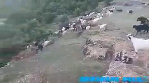 Miremengjes te gjitheve,,, | SKRAPARI FOLK