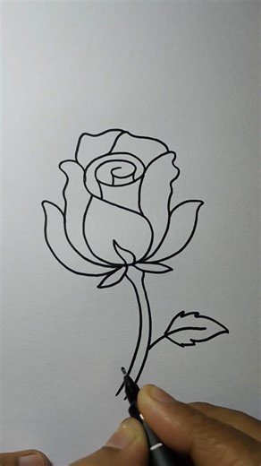 Easy Rose Drawing 🌹 | Simple Flower Drawing for Beginners