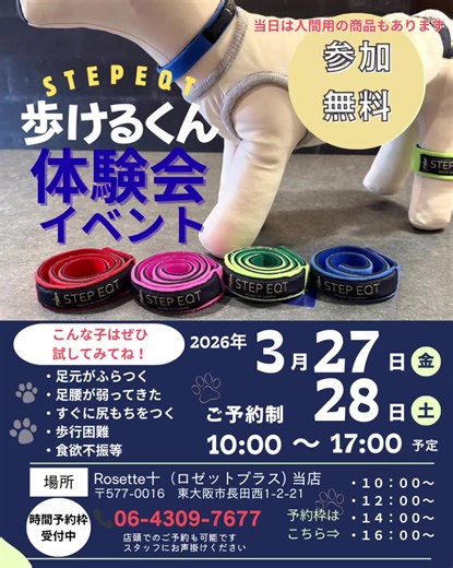 🐕️＼歩けるくん 体験会のお知らせです📢／ シニア犬ちゃん界隈ではご存知の方も多い、STEPEQT（@step_eqt ）さんの「歩けるくん」✨️ 当店で無料体験会を行います👏 【日時】 3/27（金）3/28（土） 10:00〜17:00 【場所】当店 Rosette＋（ロゼットプラス）にて 〒577-0016 東大阪市長田西1-2-21 ラ・グランツ103 【ご予約方法】 お電話 06-4309-7677 または 公式LINE、各種SNSメッセージからお願いします。 《歩けるくんって？》 着けるだけでバランス感覚やふらつきを改善❢ 体の柔軟性や足腰の踏ん張る力をサポートしてくれます❢ ・足腰に不安が出てきてふらついてしまう子 ・すぐに尻もちをついてしまう子 ・首が上がりにくい子 シニア犬ちゃんや若くても介護が必要な子など、 年齢問わずお使い頂けます☺ また、ワンちゃん用だけでなく、人間にも同じような効果が期待されています。 ※人間でも肩こりがひどく、毎日頭痛に悩まされている方が、この商品を使用しだしてから、頭痛薬がいらなくなったと喜んでくださいました。 体験した人じゃないと良