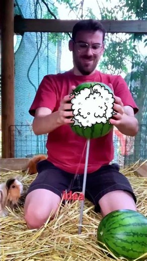 Ways to Feed Guinea Pigs Without Wasting Food