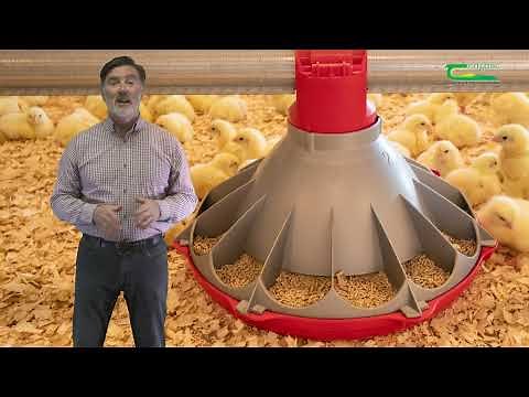 Broiler Farm Biosecurity