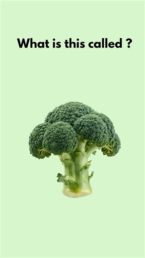 English Vocabulary for Beginners #englishvocabulary