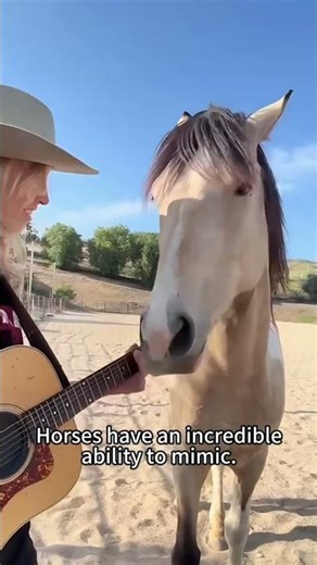 Top 10 Horses that are actually BROKEN.#shorts #funny #horse #compilation #funnyanimals