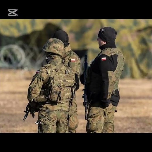 polskie siły zbrojne edit#edit