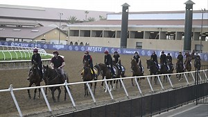 Analyzing Top Contenders This Weekend at Del Mar Track