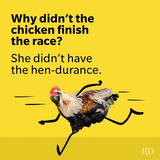 50 Chicken Puns That Are Eggs-traordinarily Funny