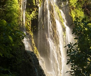 Ultimate Guide to Colorado Bend State Park, Texas (Tours, Pricing, History, Map)