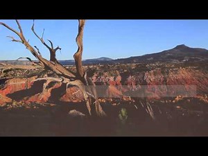 About the Georgia O’Keeffe Museum Collections