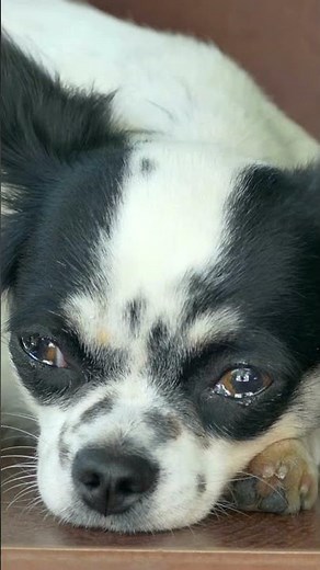 A Tribute to Loved Ones Gone: One At Rest Poem by AJ Stanley