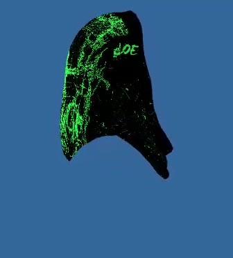 LOE Headscarf Designed by me #fivem #fivemroleplay #fivemclothing #fivemclothingdesigner #fivemclips